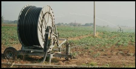 irrigazione:rotolone1.jpg